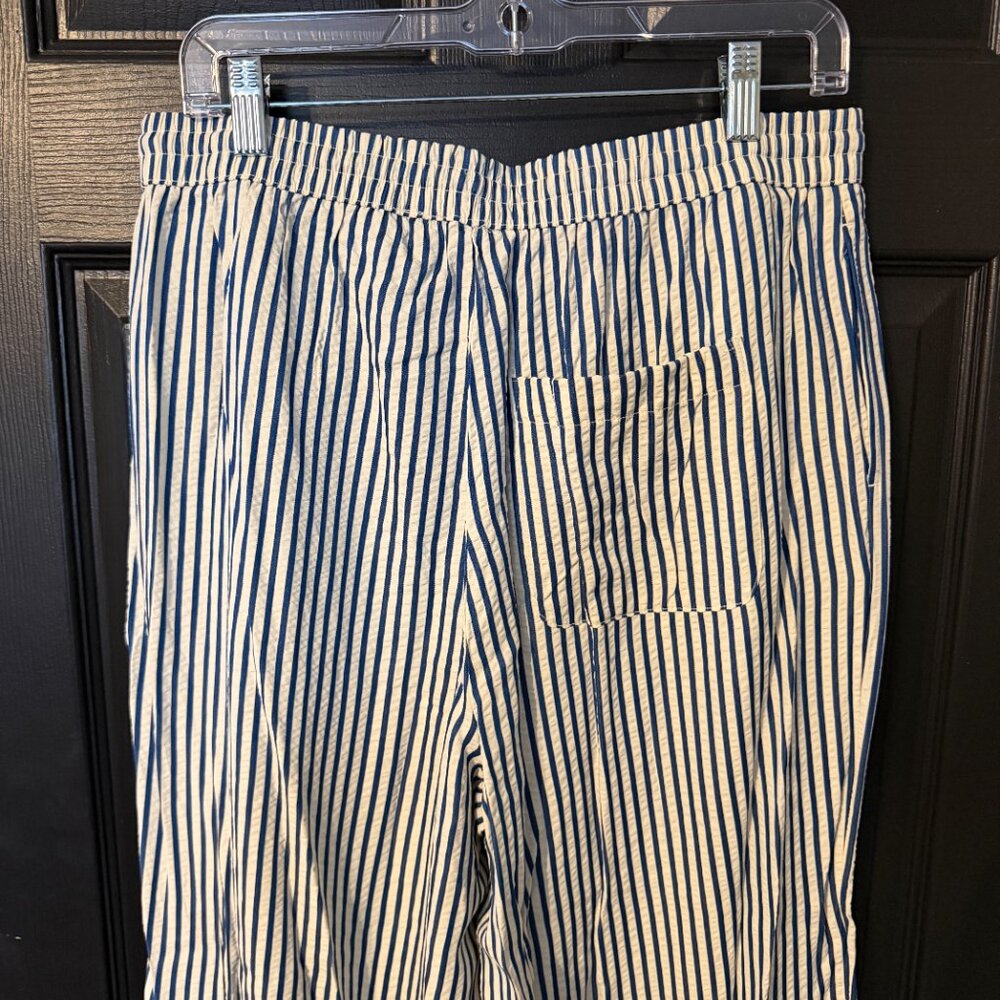 NWT American Eagle Wide Leg Stripe Pants Lightweight Blue White Medium - Picture 6 of 6